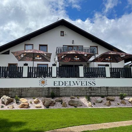 Wellness Hotel Edelweiss 리베레츠 외부 사진