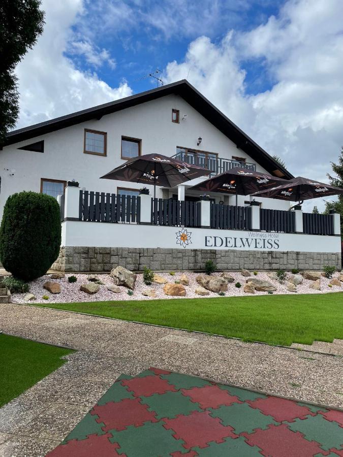 Wellness Hotel Edelweiss 리베레츠 외부 사진
