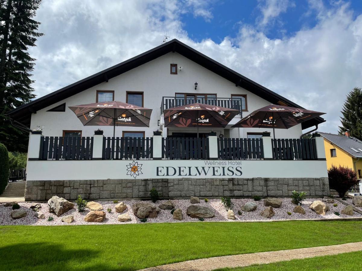 Wellness Hotel Edelweiss 리베레츠 외부 사진